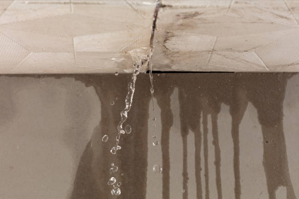 Professional Water Damage Restoration technician working in Riverview, SC